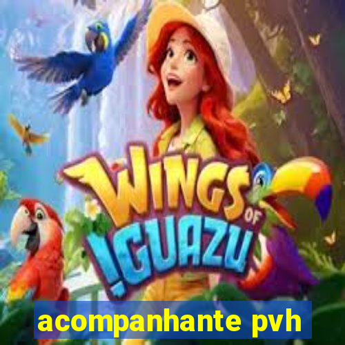 acompanhante pvh